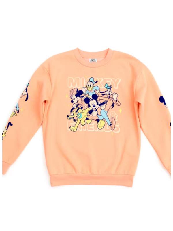 Disney Store Mickey and Friends Sweatshirt For Adults USA Jackets
