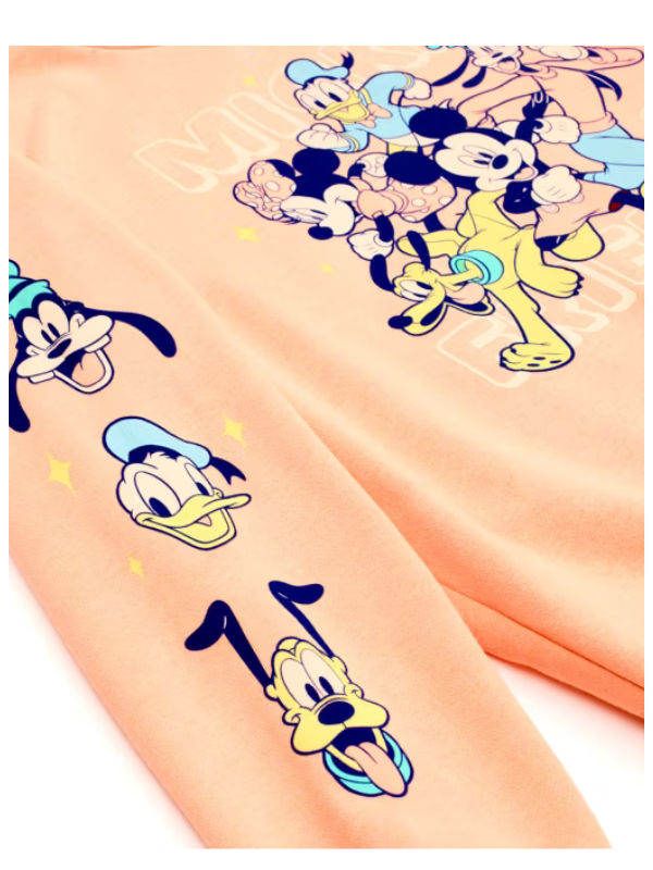 Disney Store Mickey and Friends Sweatshirt For Adults USA Jackets