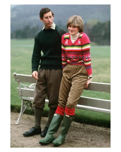 Princess Diana Pink Llama V-Neck Sweater