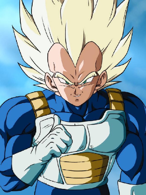 Saiyan Armor Weighted Vest