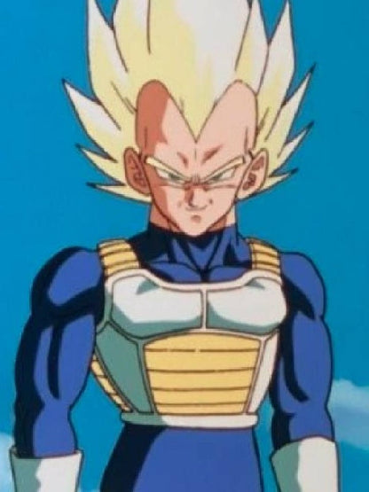 Saiyan Armor Weighted Vest